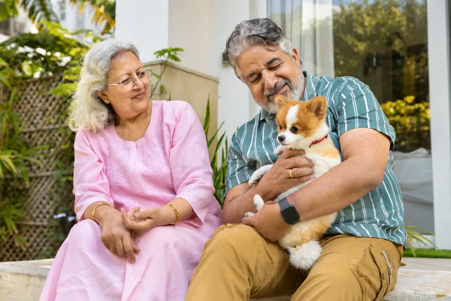 Pet Name Ideas by Breed, Personality & Theme