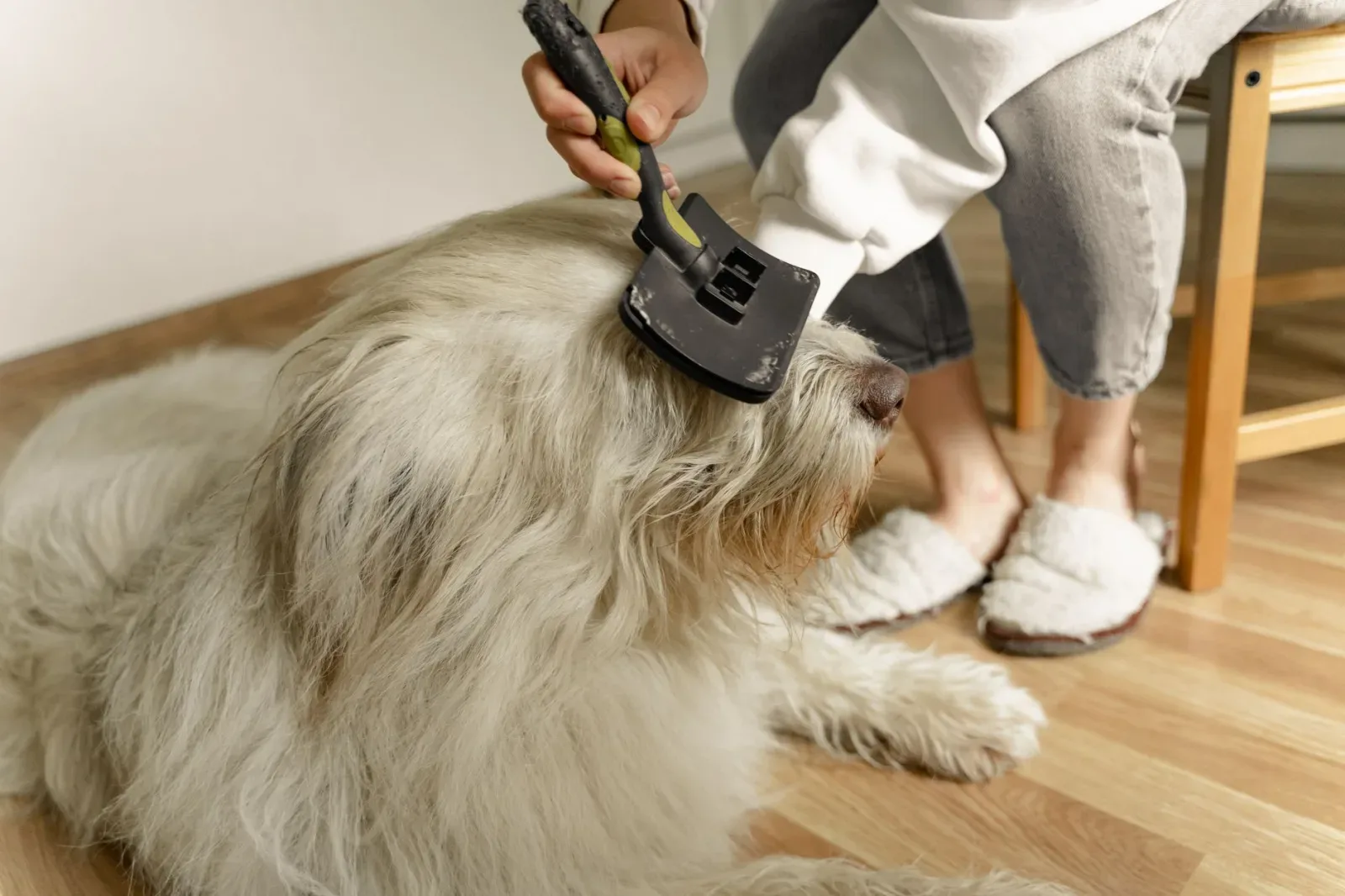 A Stress-Free Grooming Routine