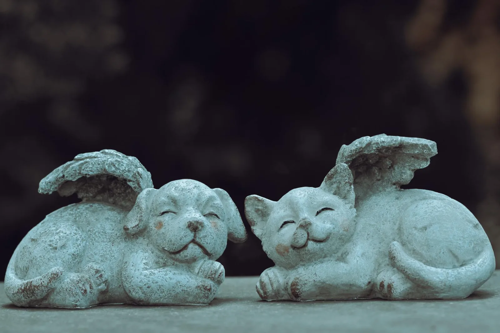 Grieving the Loss of a Pet: A Practical Guide to Healing