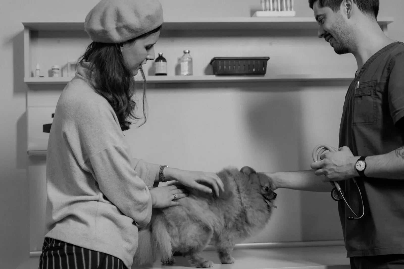 Spot-On, Oral or Collar: Choosing the Right Flea & Tick Preventive