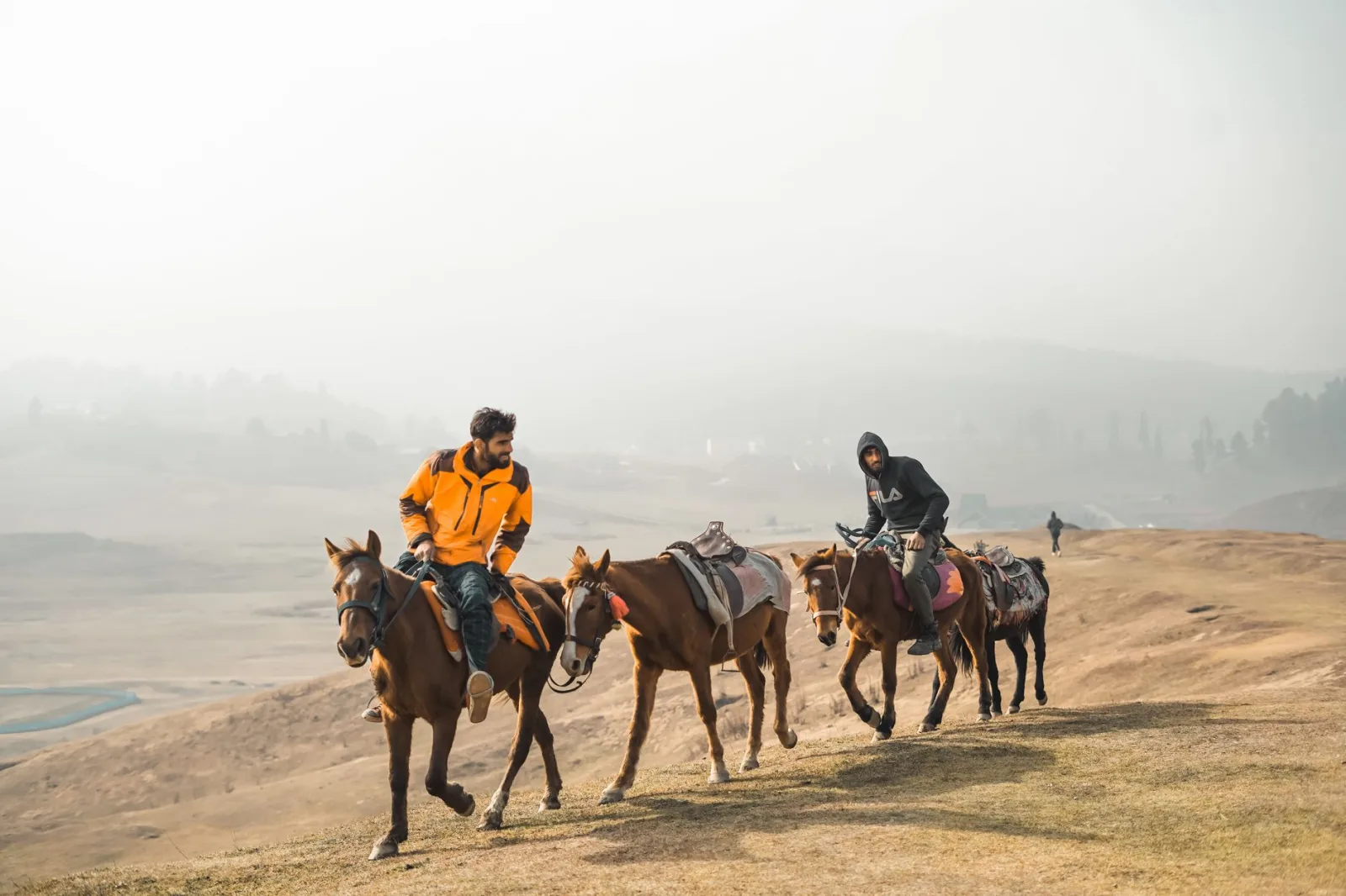Warming Up and Cooling Down Your Horse Properly