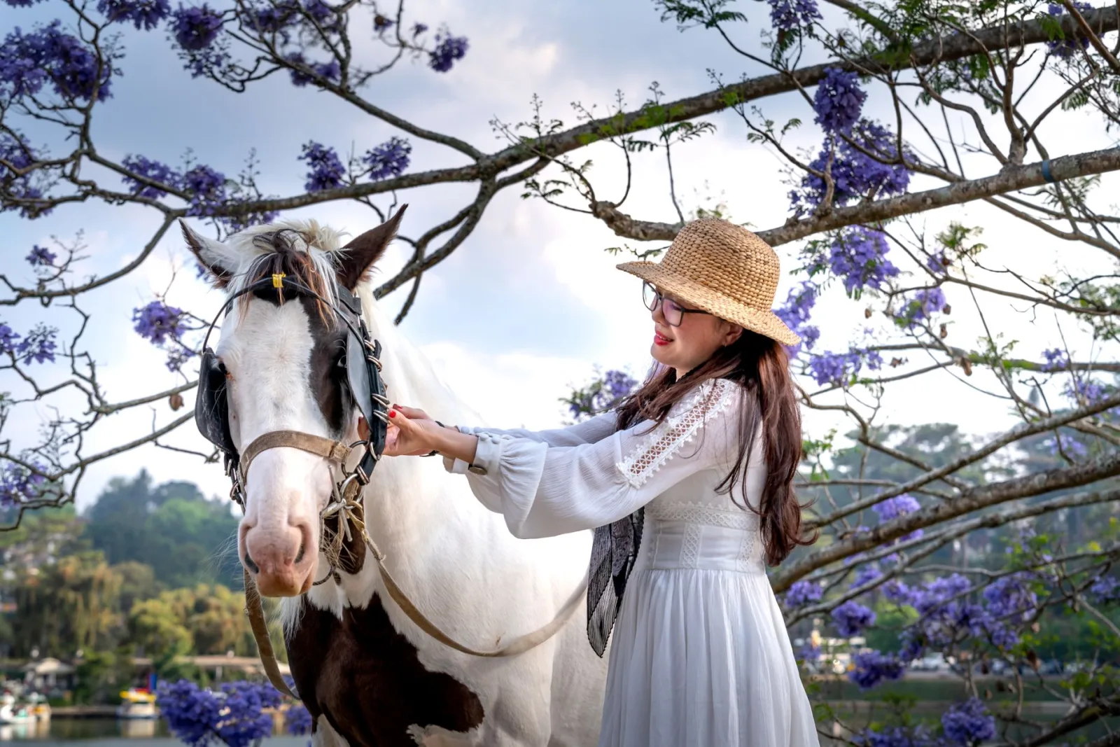 Is a Horse Right for You? An Honest Look at the Commitment
