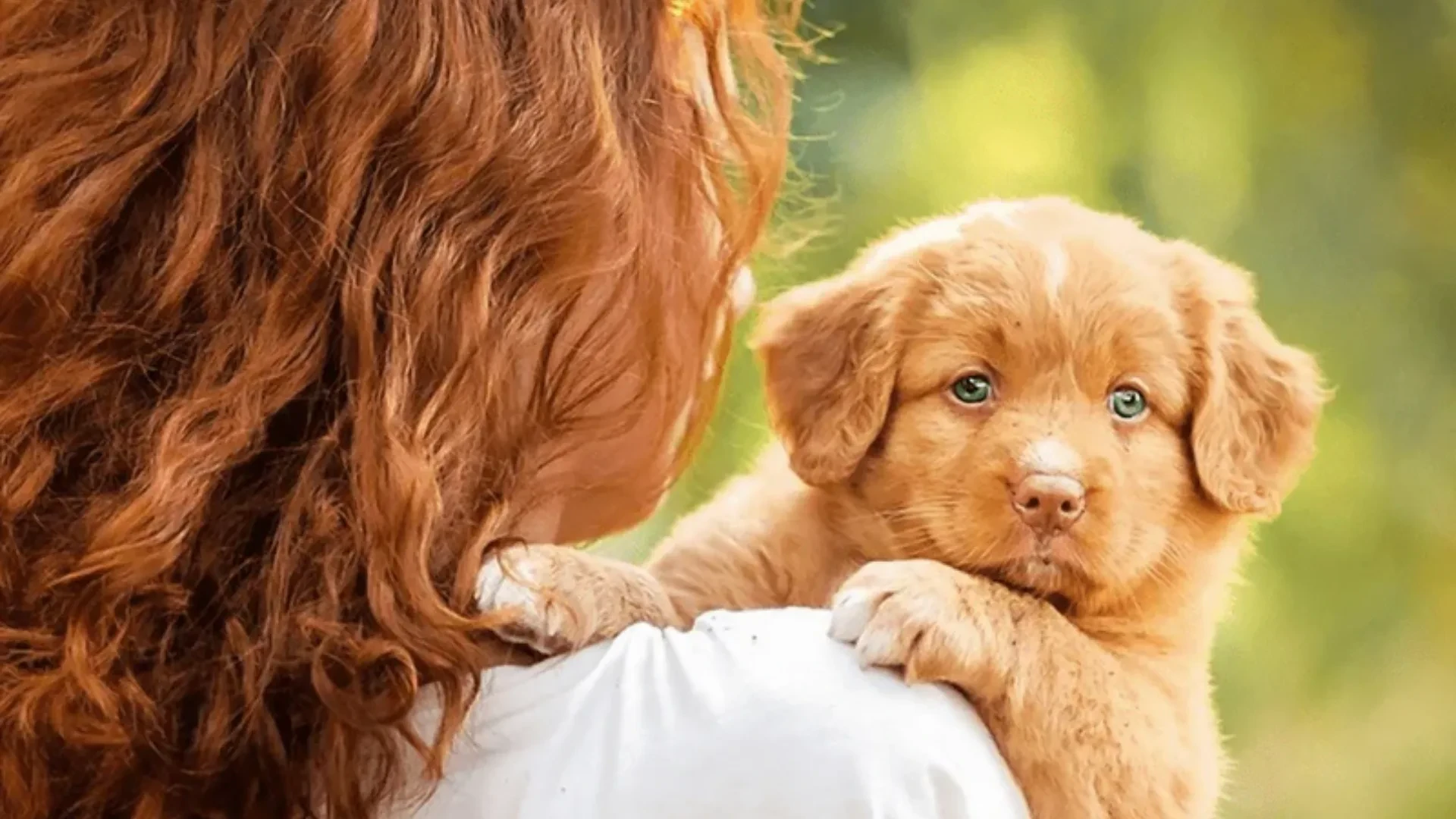 Your Pet Adoption Checklist: Home Prep, Supplies and the First Vet Visit