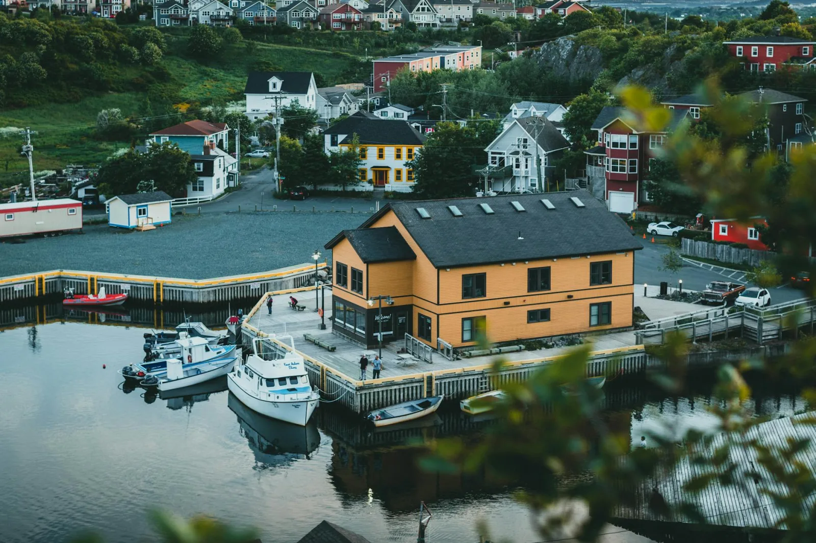 Newfoundland 4