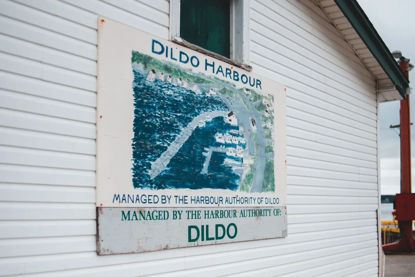 Newfoundland 5