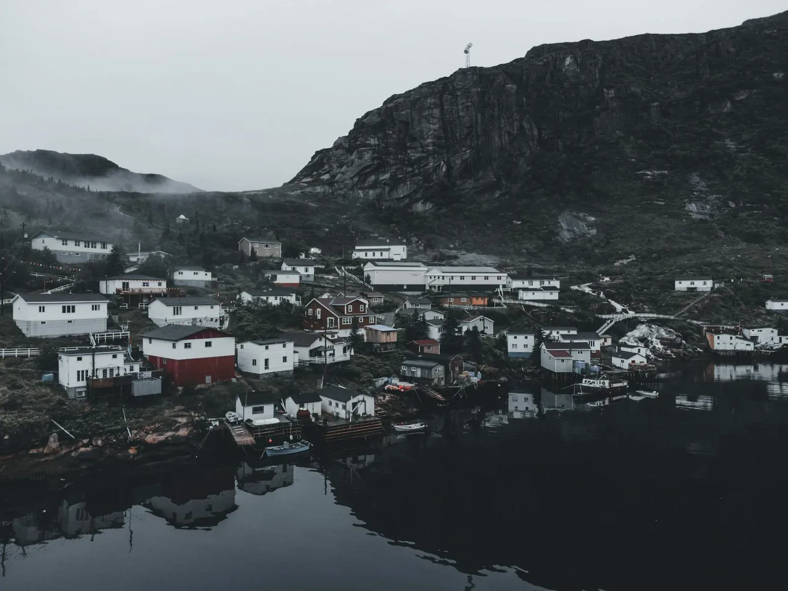 Newfoundland 6