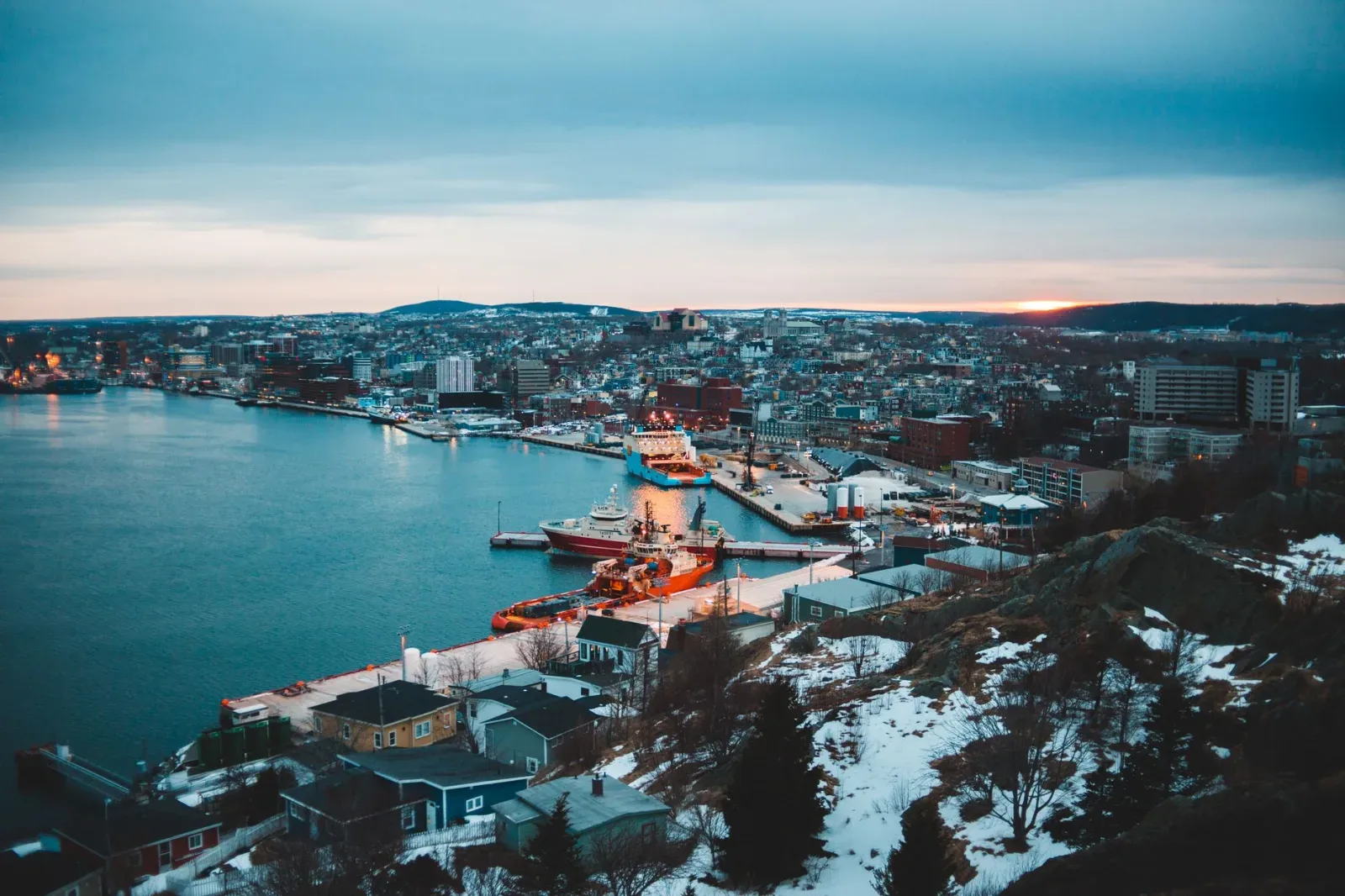 Newfoundland 7