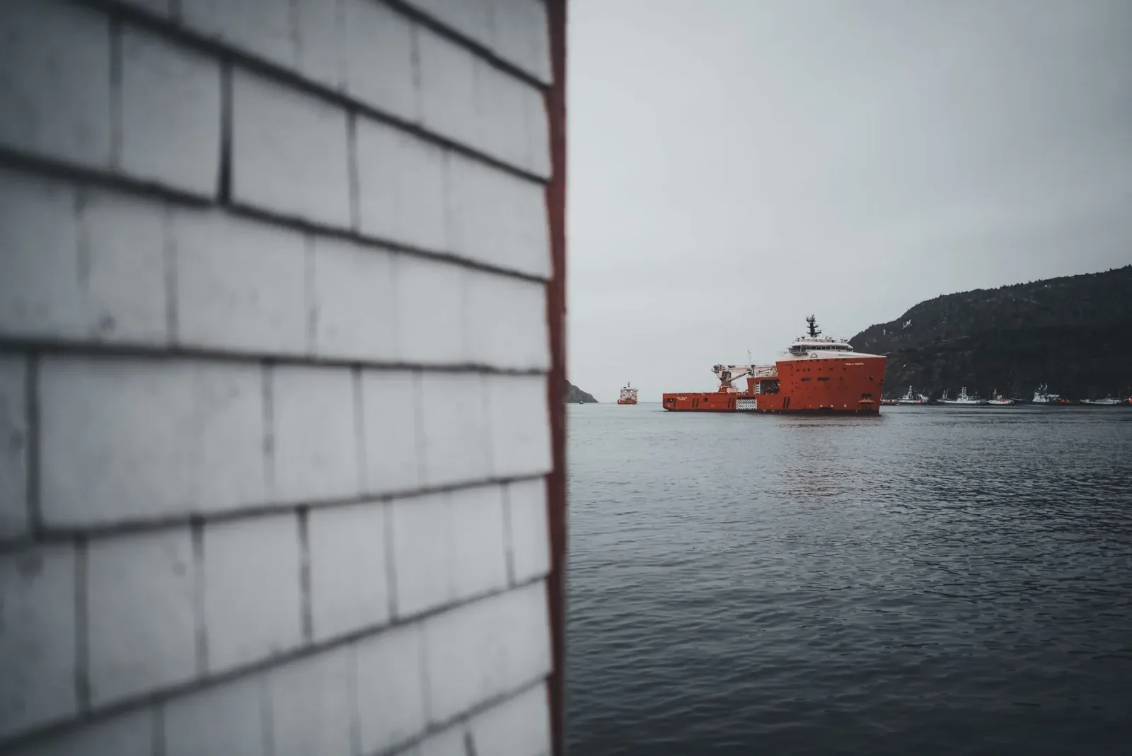 Newfoundland 8