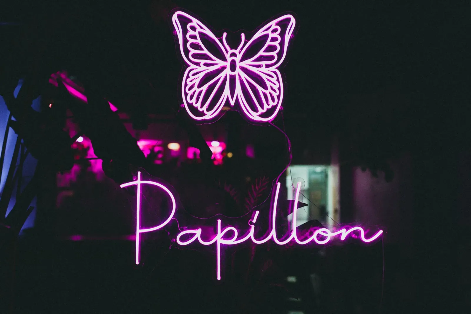 Papillon 7