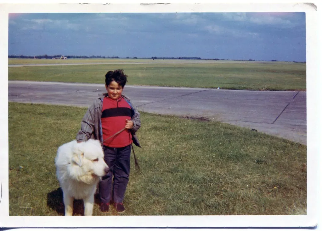 Saint Bernard 5