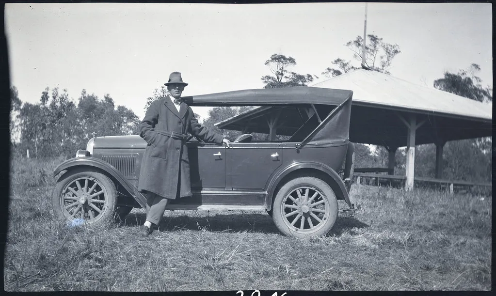 Whippet 4
