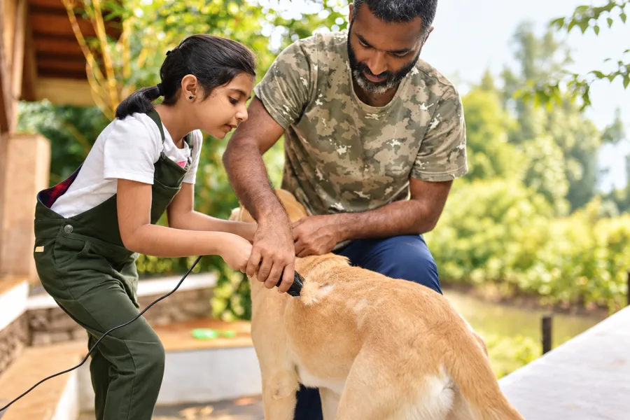 Grooming and Hygiene Basics Every Pet Owner Should Know