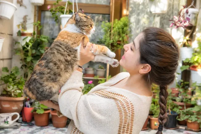 From Shelter to Sofa: Real Adoption Success Stories from Our Community