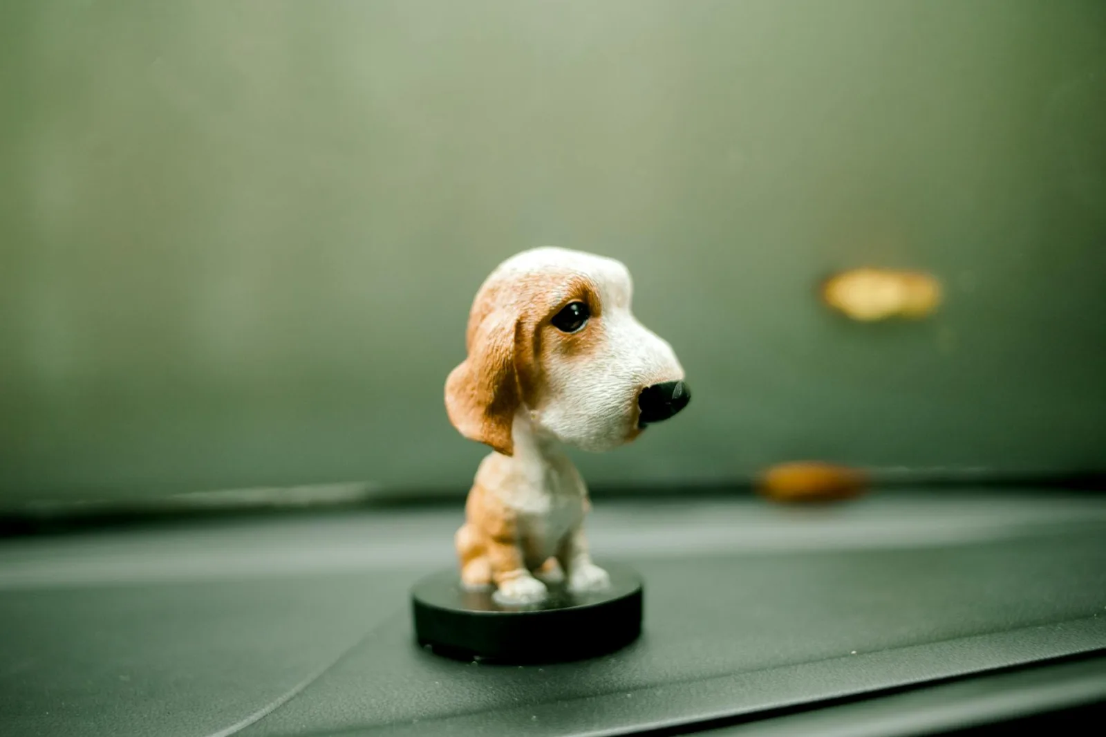 Basset Hound 3