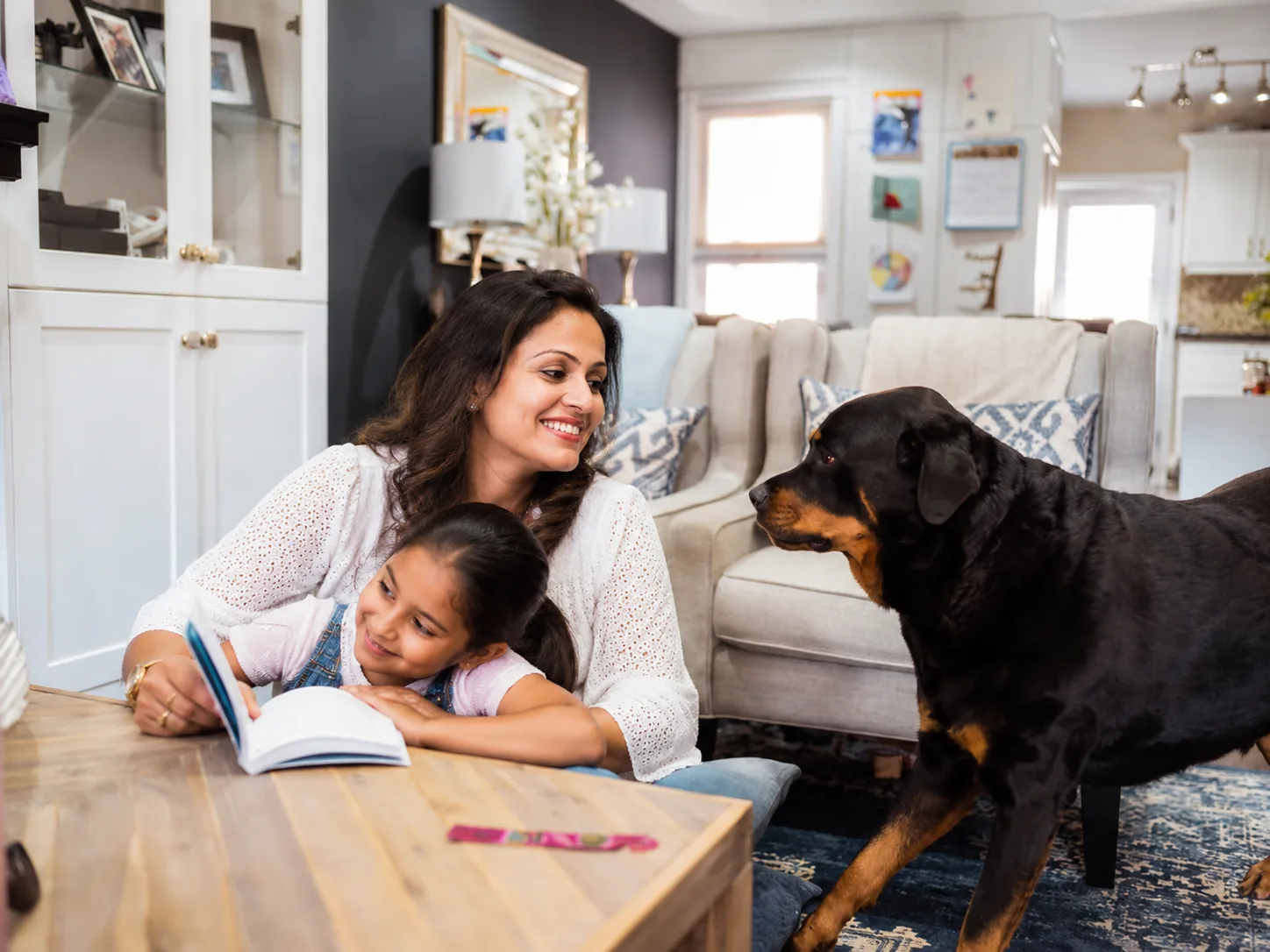 Where the Rottweiler Comes From
