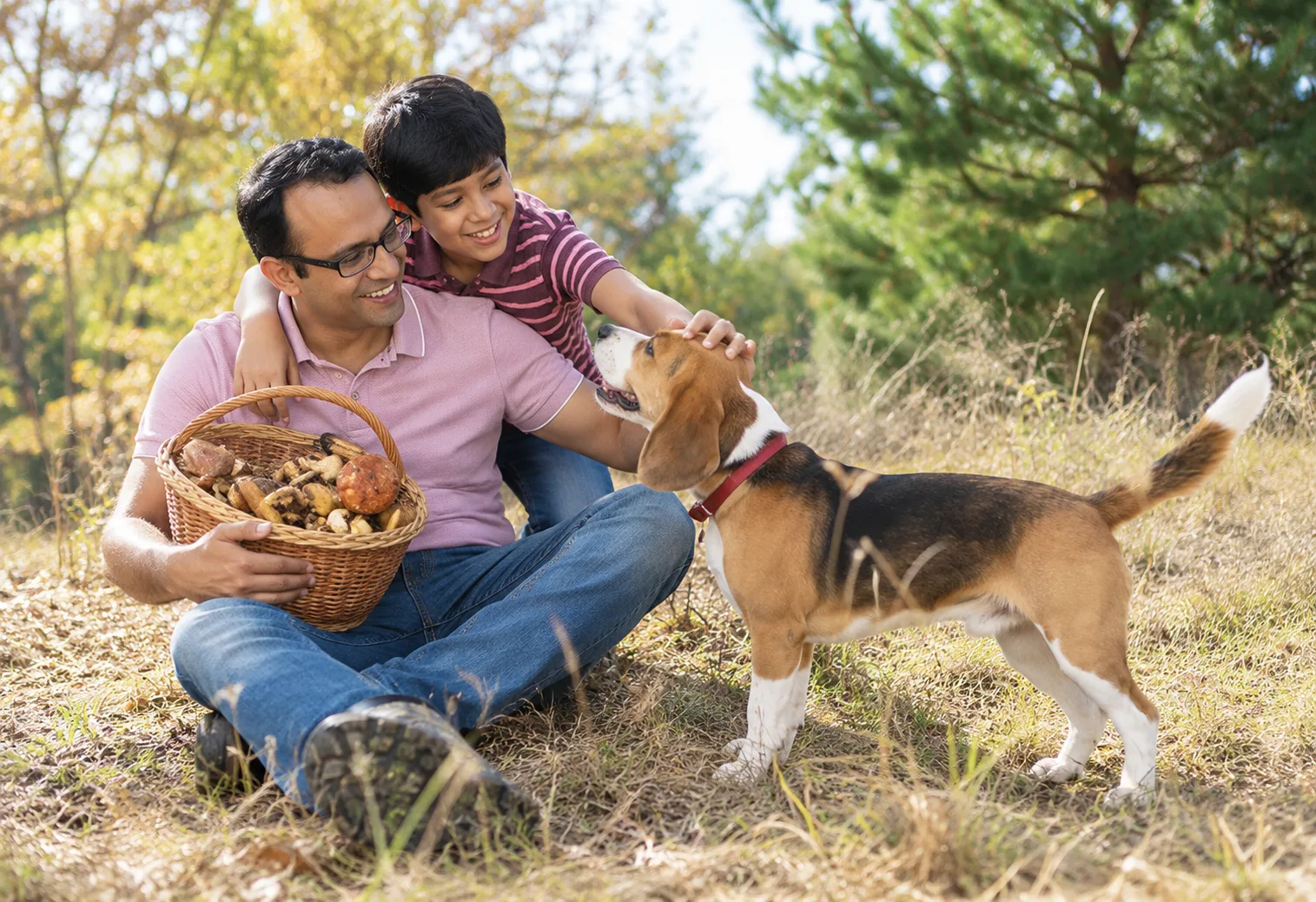 A Loyal Family Companion