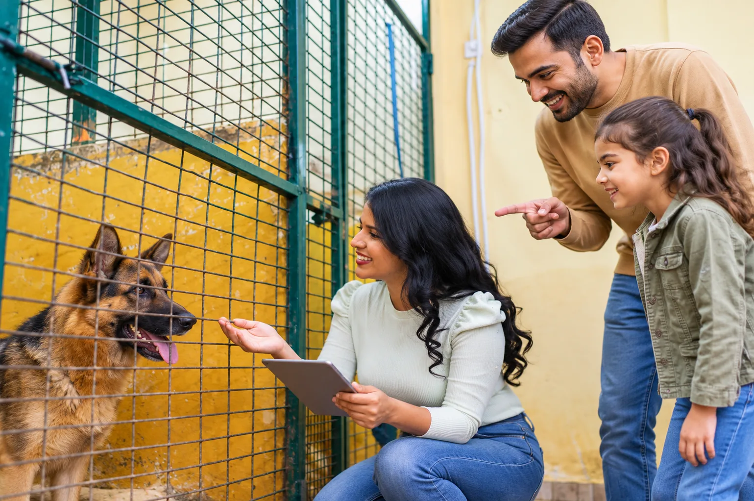 Where the German Shepherd Comes From